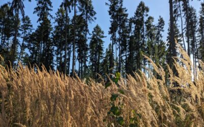 Slovo života – září 2025