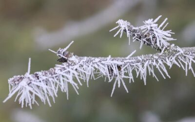 Slovo života – prosinec 2025