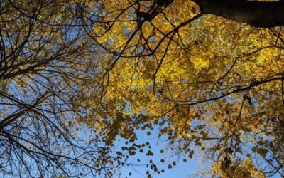 Slovo života – listopad 2025