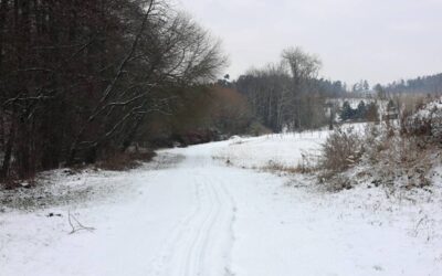 Slovo života – únor 2026