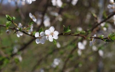 Videozprávy – 22. 3. 2026